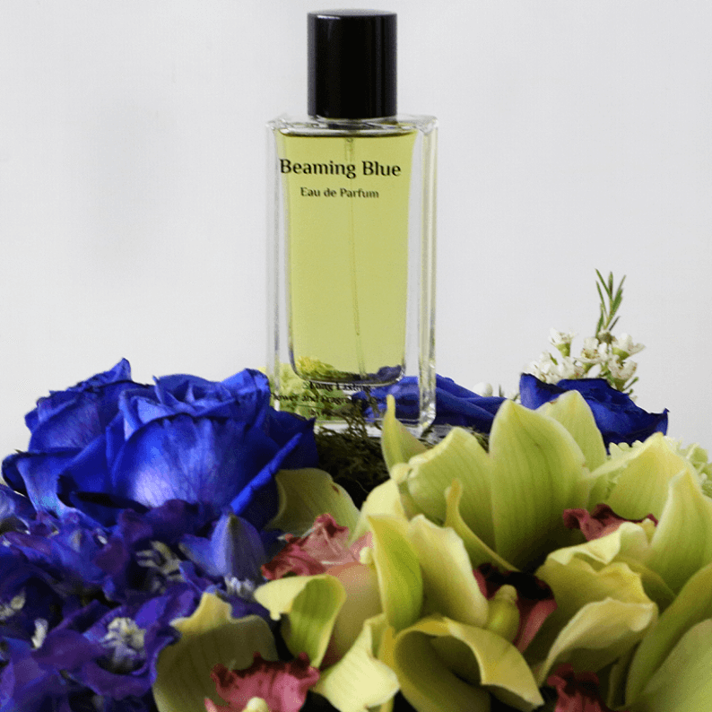Beaming Blue 1_1 close up of beaming blue perfume with cymbidium orchids
