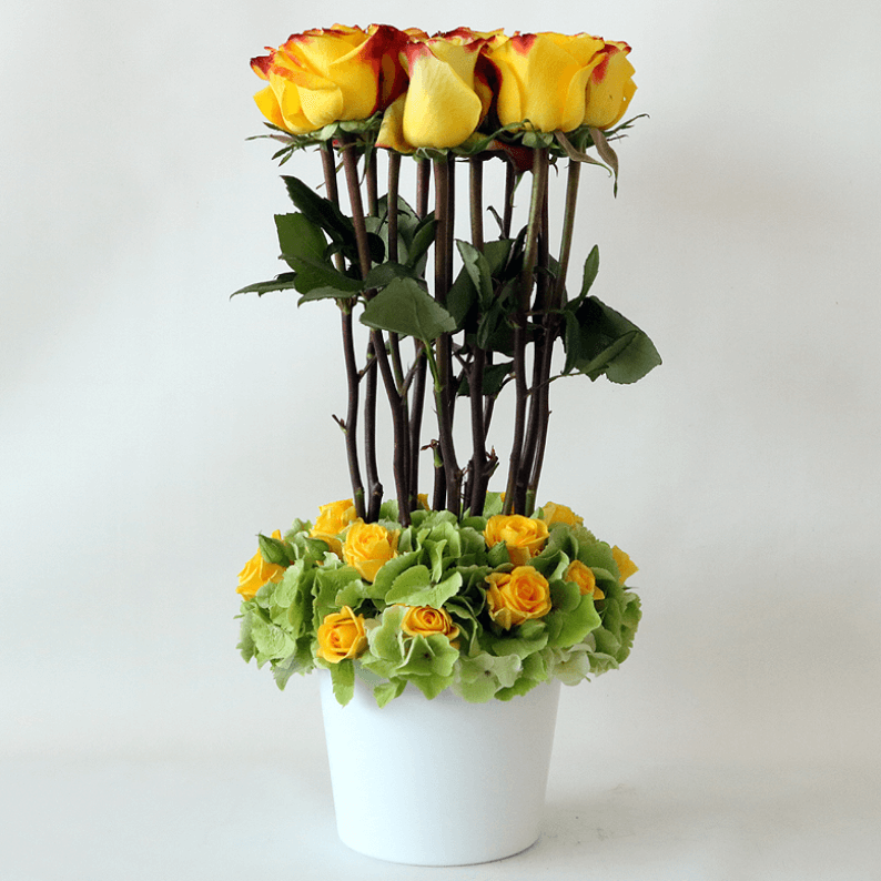 Weekly Flower Subscription 4 to 5 vases_2 Yellow roses, green hydrangea and spray rose in a white pot