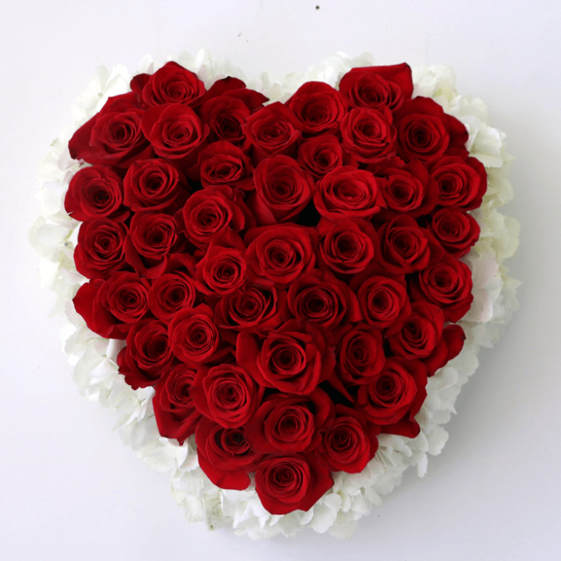 red and white rose heart red roses surrounded by white hydrangea in a heart
