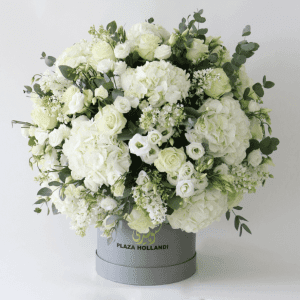 Wedding Wishes 10 white hydrangea, white roses, white wax flower and eucalyptus in a round design in a plaza hollandi hat box