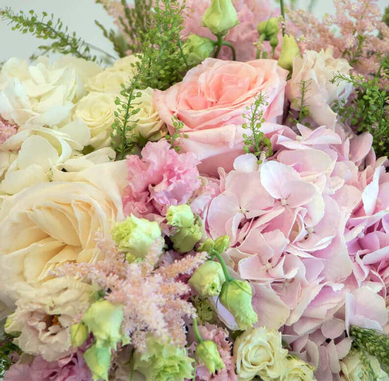 Fara 1 Close up of pink and white flowers