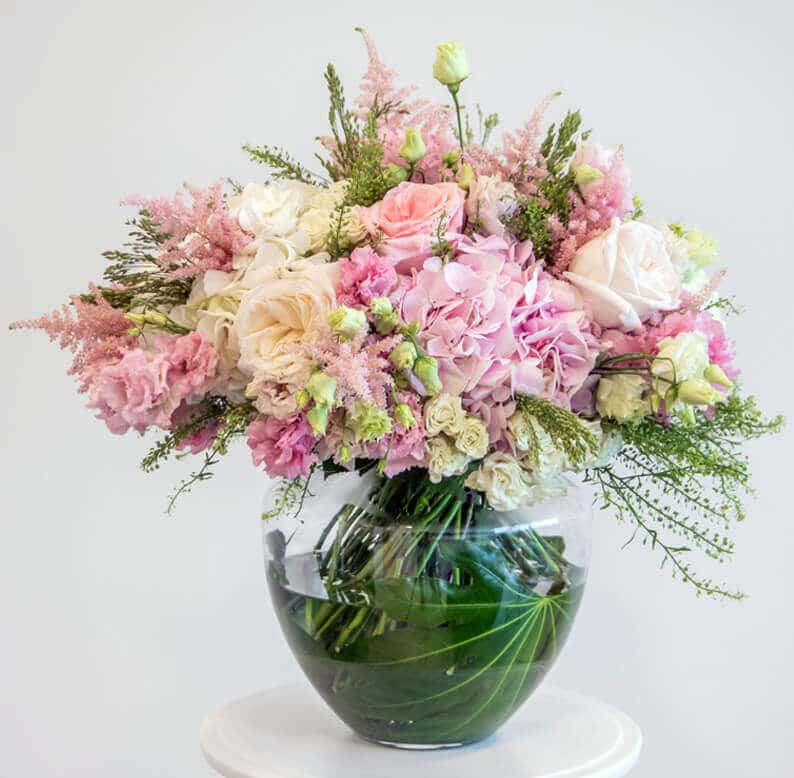 Fara Pink and white flowers