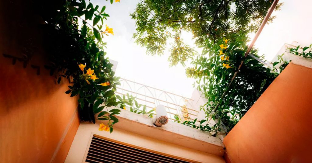 The Meaning of Roses 22 balcony flower arrangement