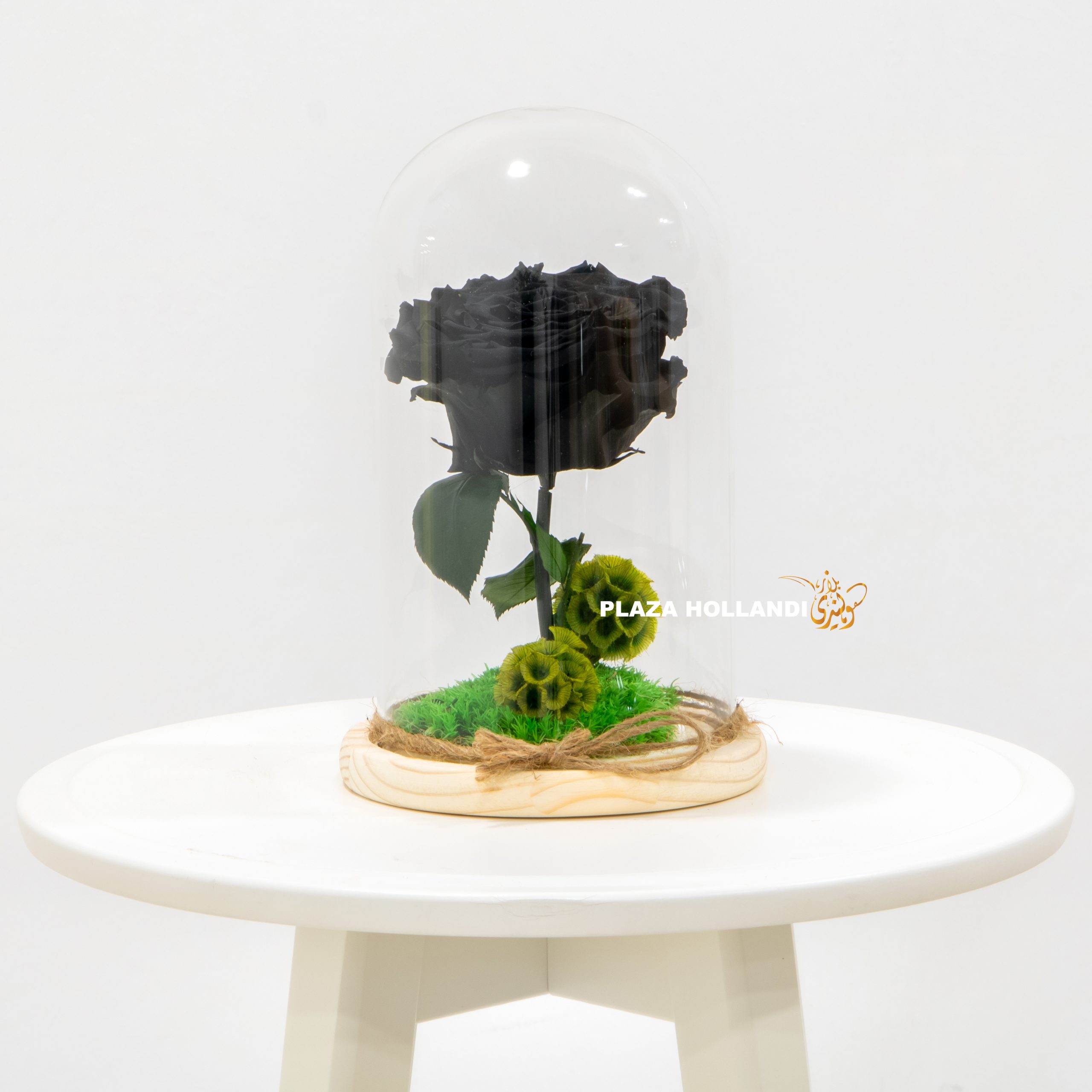 1.2 Black preserved rose in a cloche
