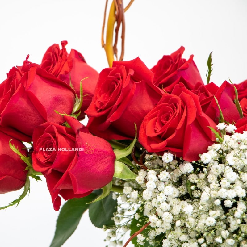 2.3 close up of red roses