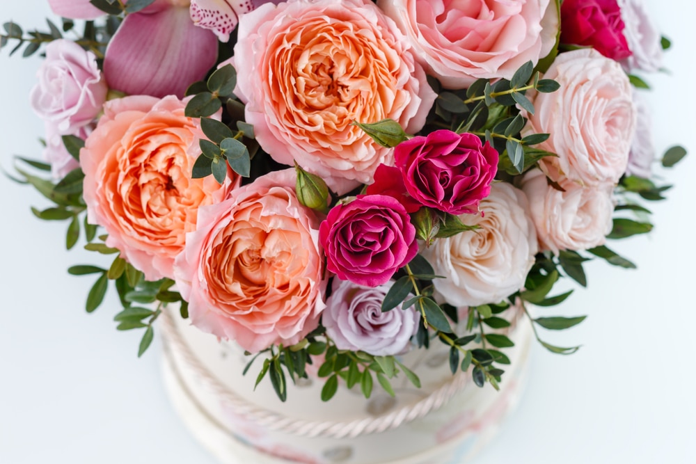 flower gift