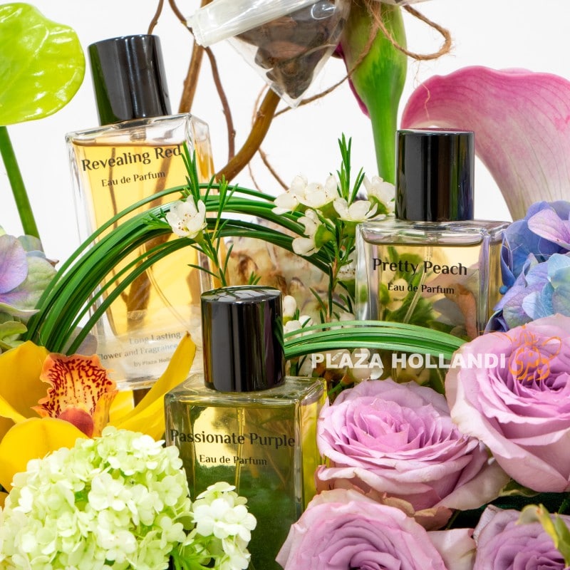 1.2 FLOWERS PLAZA HOLLANDI (4)