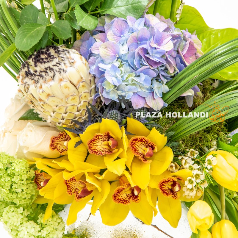 2.3 close up of cymbidium orchids, hydrangea flowers and foliage