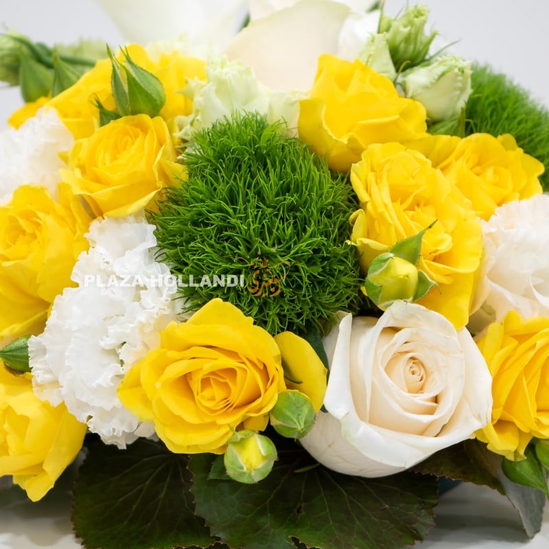 4.1 yellow spray rose and white rose flower close up