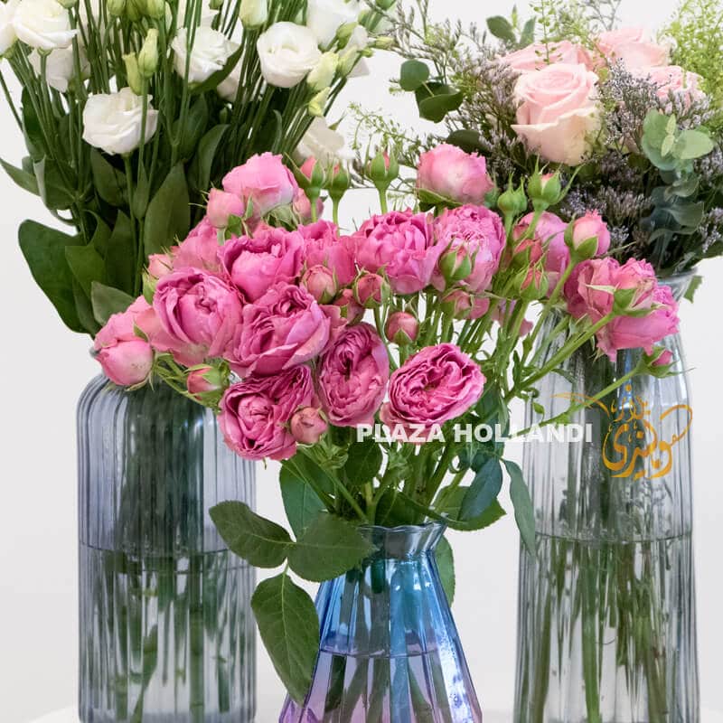 S07 Close up of flower vases