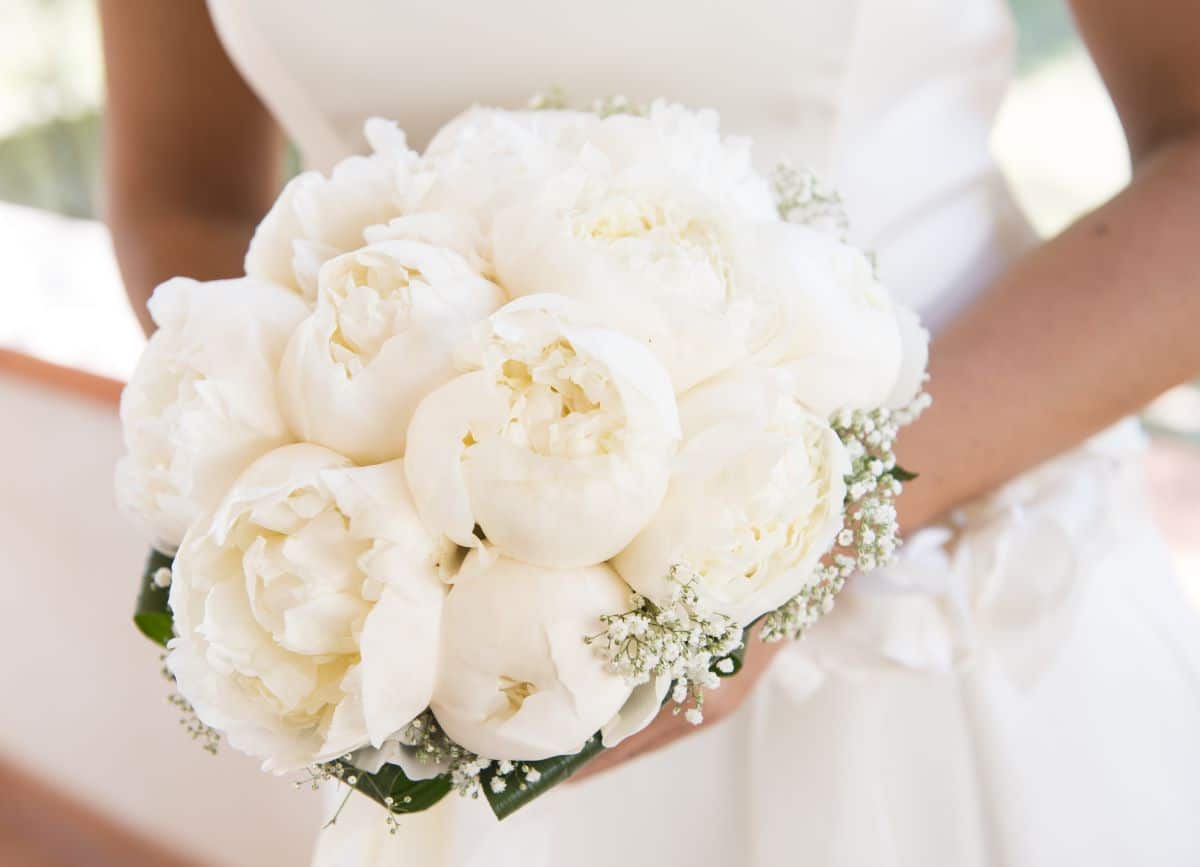 shutterstock 382104568