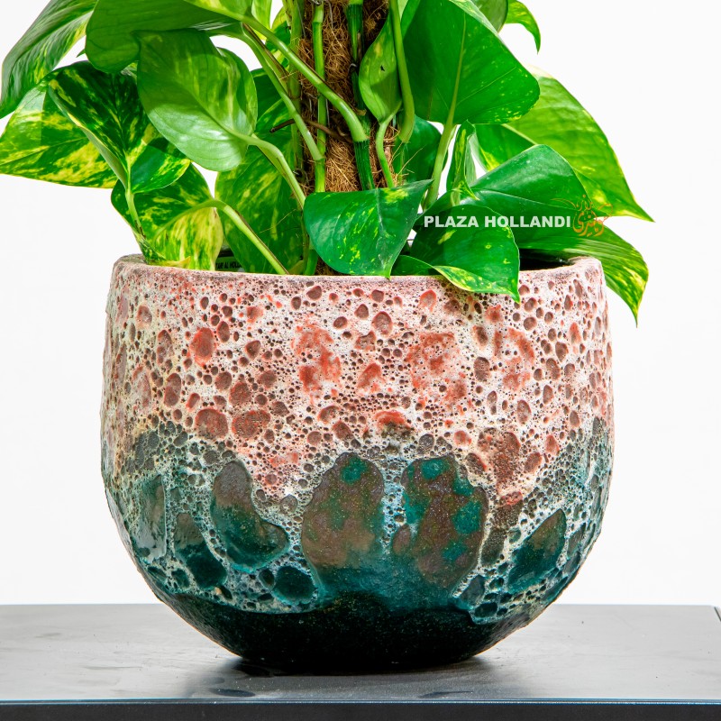 1.2 Close up of blue pot
