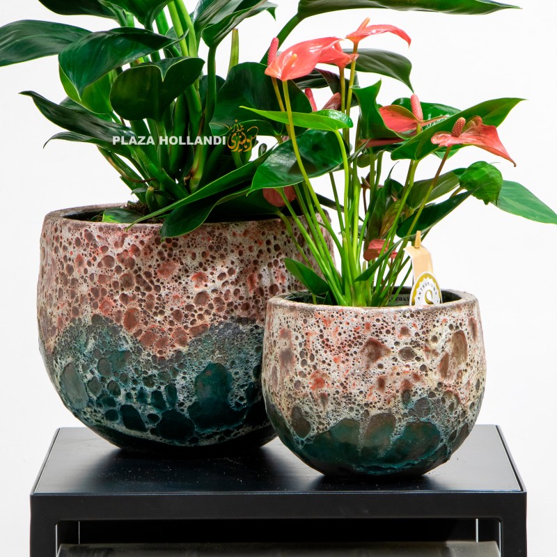 11 Close up of plant pots