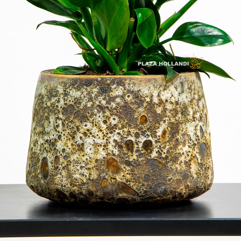 2.3 Textured pot