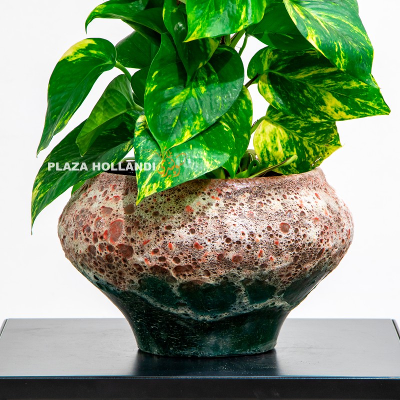 9.1 Close up of plant pot