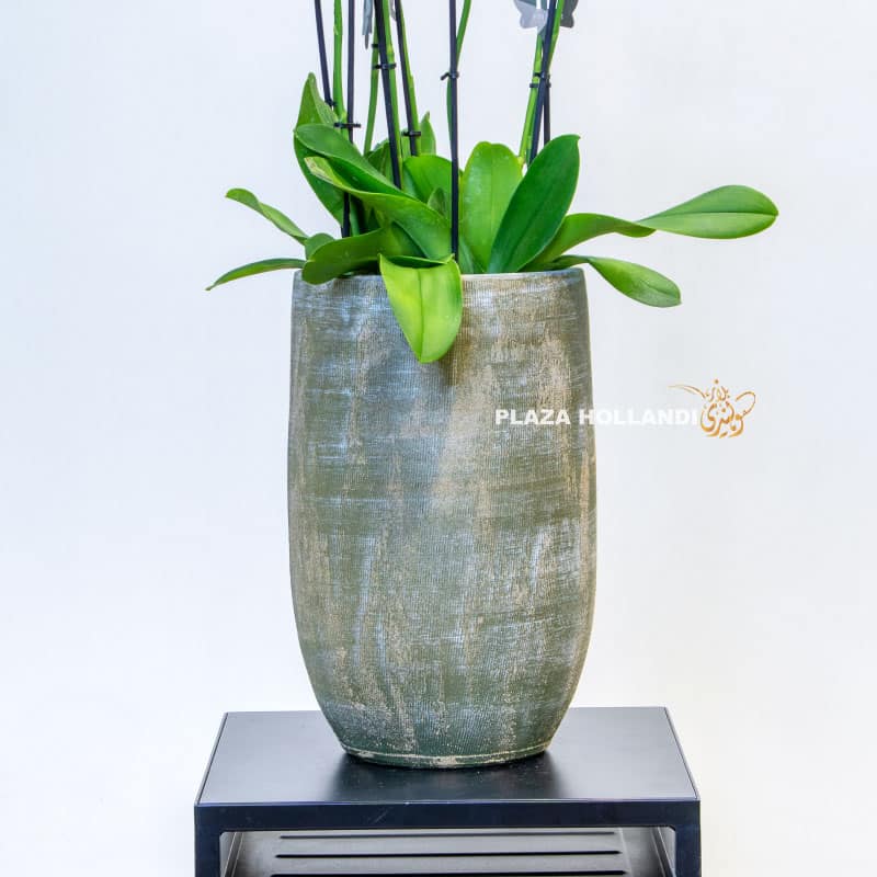 11.2 grey planter