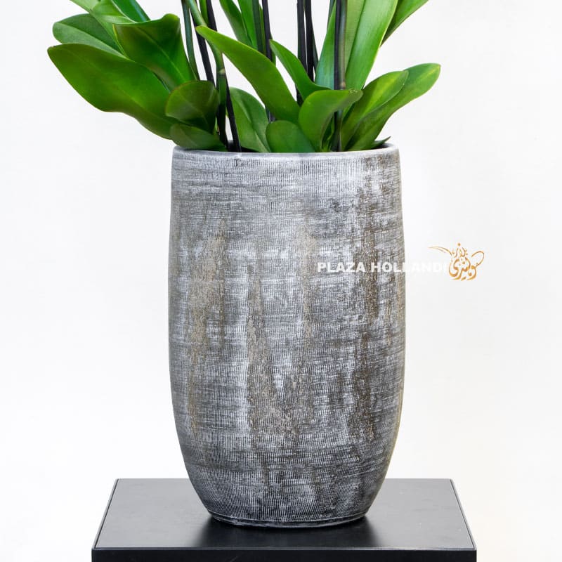 12.3 grey pot