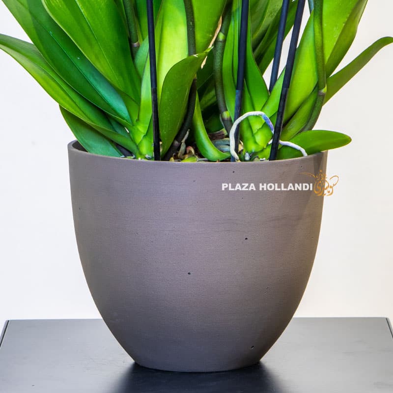 2.1 grey planter pot