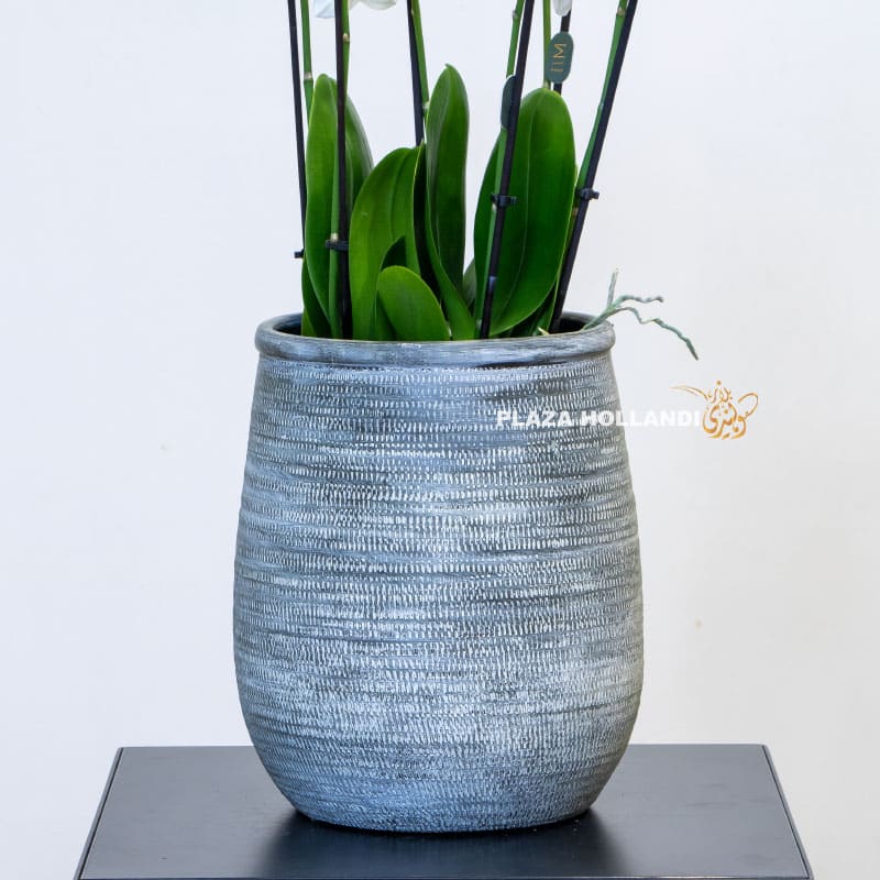 6.3 textured plant pot