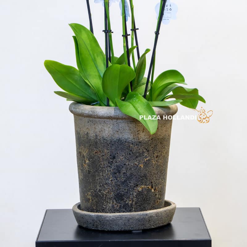 9.2 textured planter pot