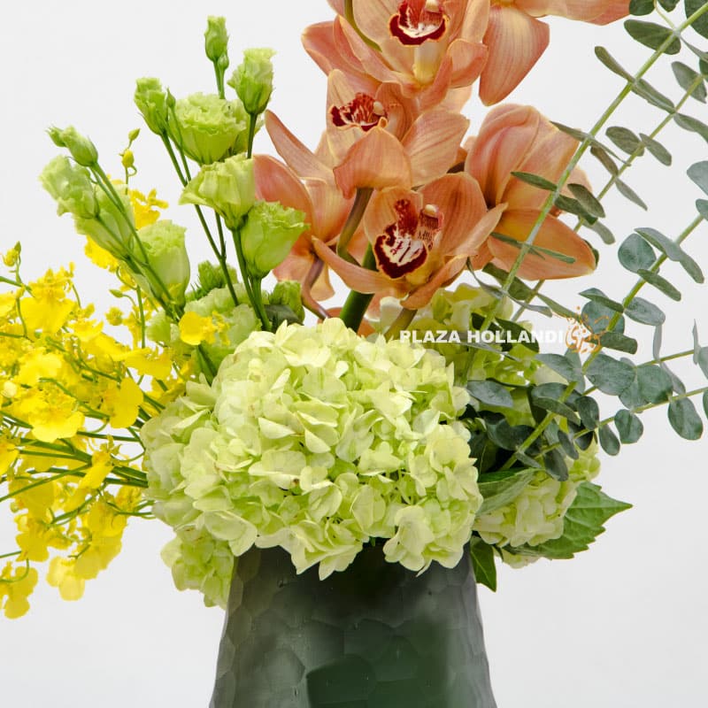 1.2 Vida Flower - Plaza Hollandi