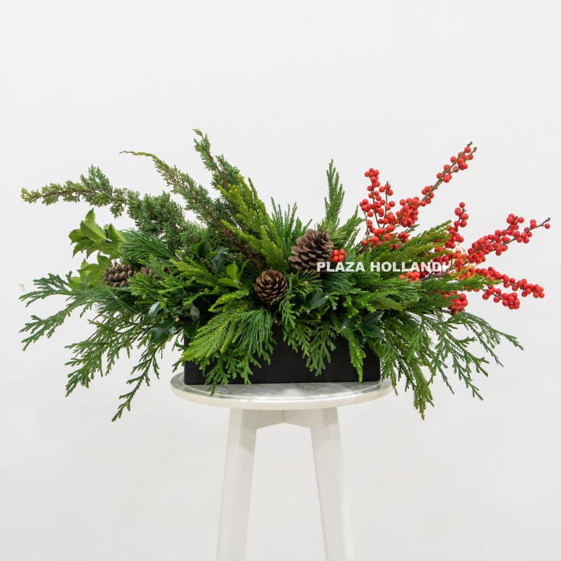 1 Festive Box Arrangement - Plaza Hollandi
