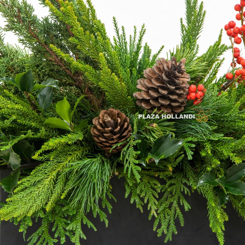1.2 Festive Box Arrangement - Plaza Hollandi