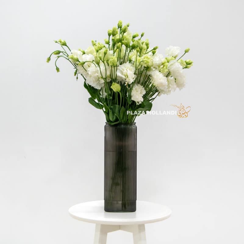 1.3 Just Eustoma In A Vase - Plaza Hollandi