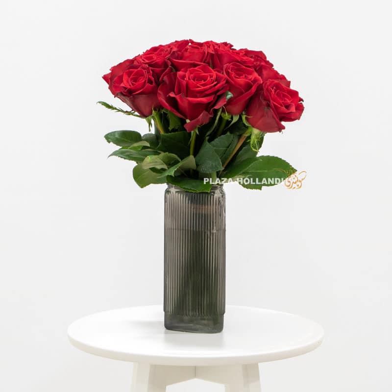 5 Red Roese - Plaza Hollandi