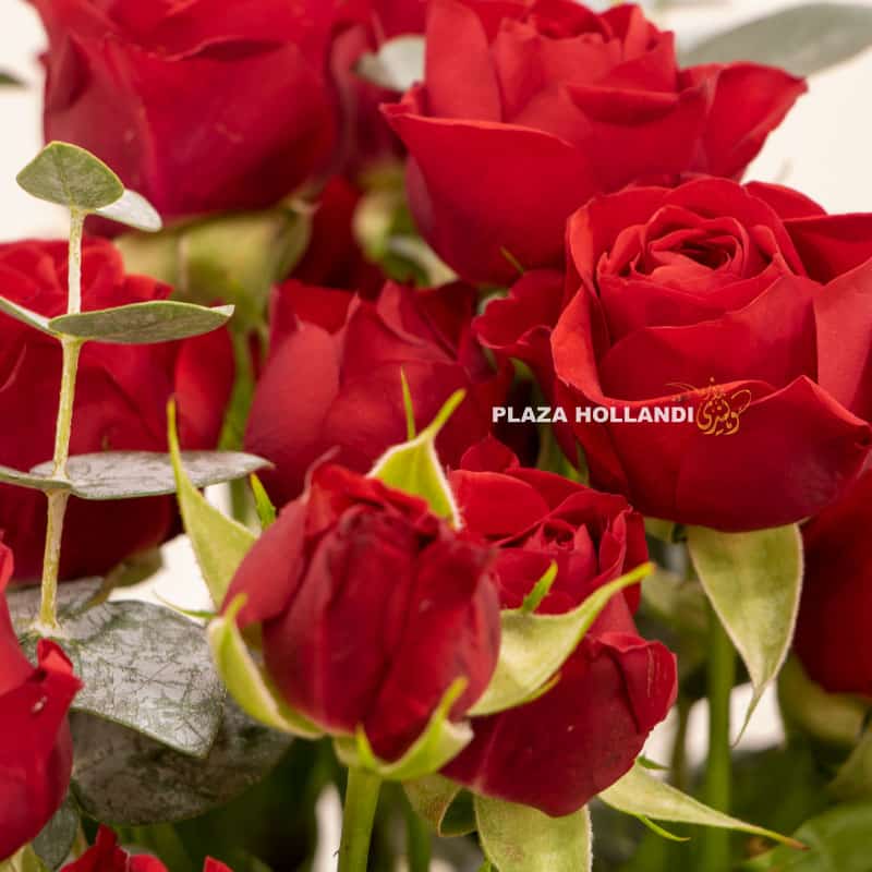 1.4 close up of spray rose and red roses