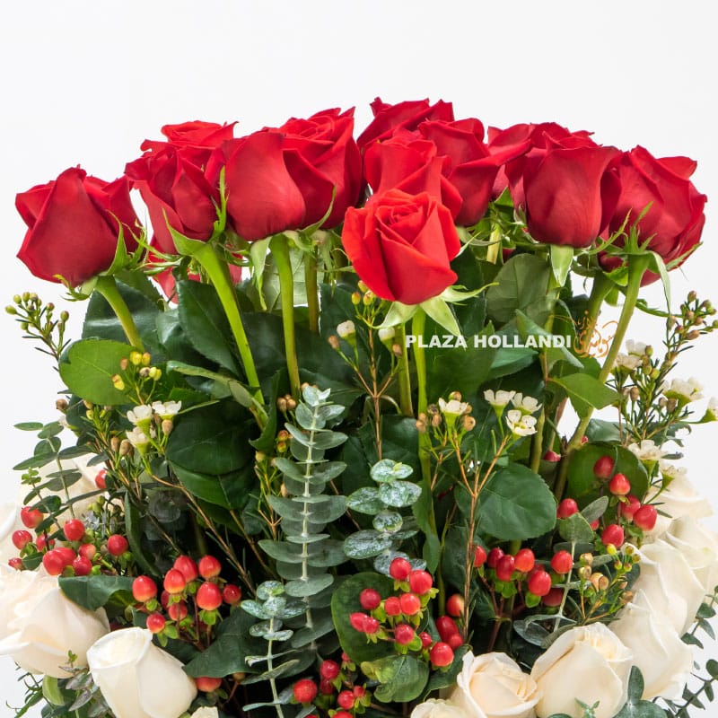 10.5 close up of red roses