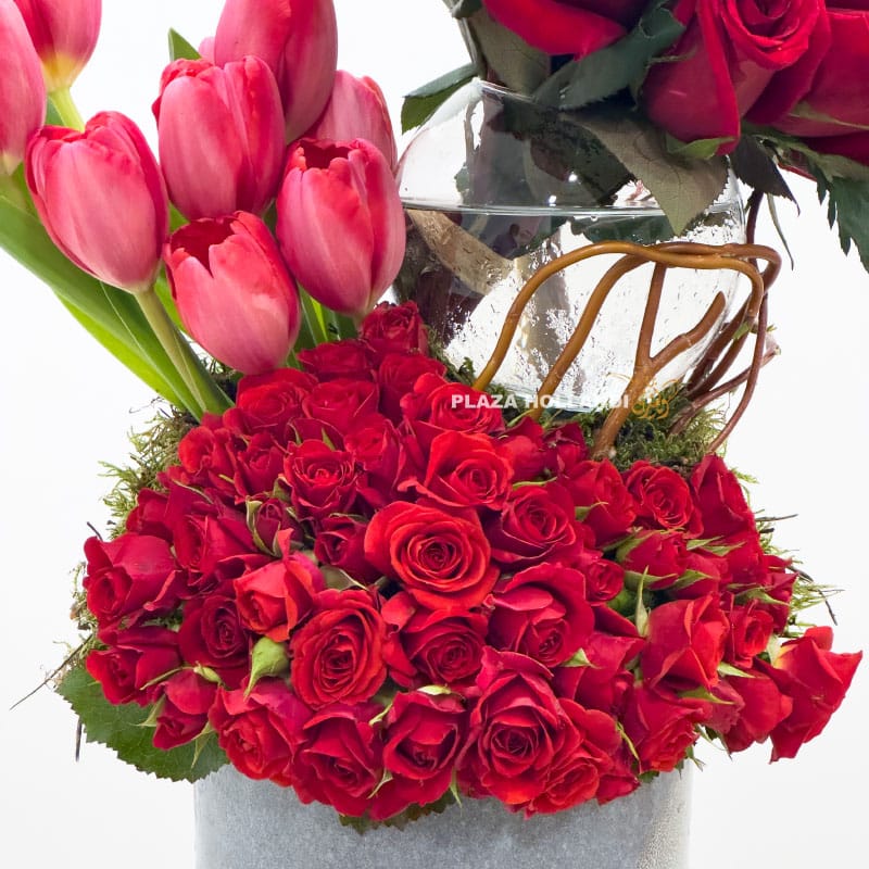 2.2 Close up of spray roses