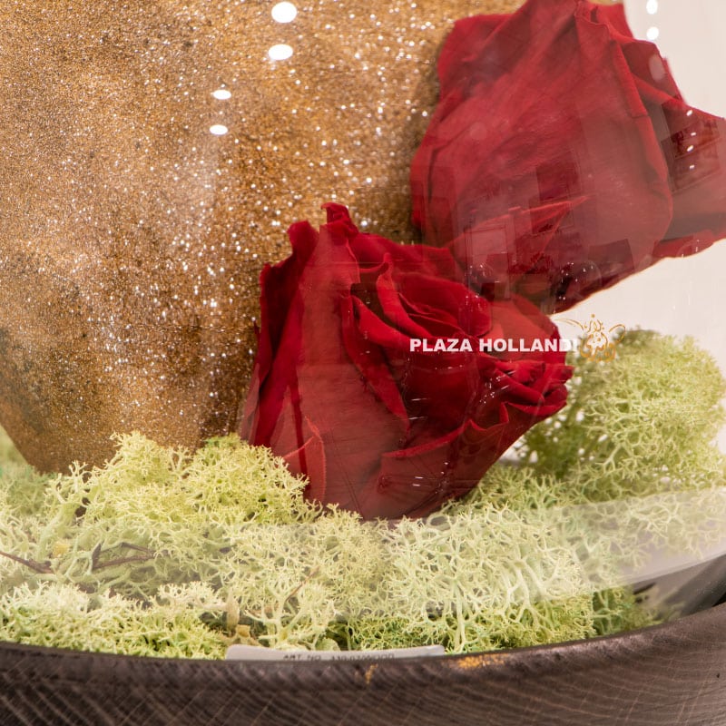 2.2 red preserved rose