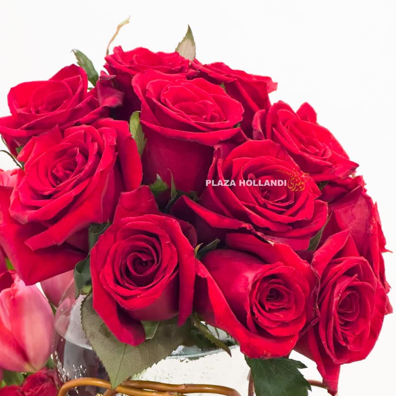 2.3 close up of red roses