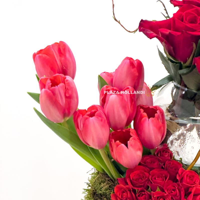 2.4 close up of tulips