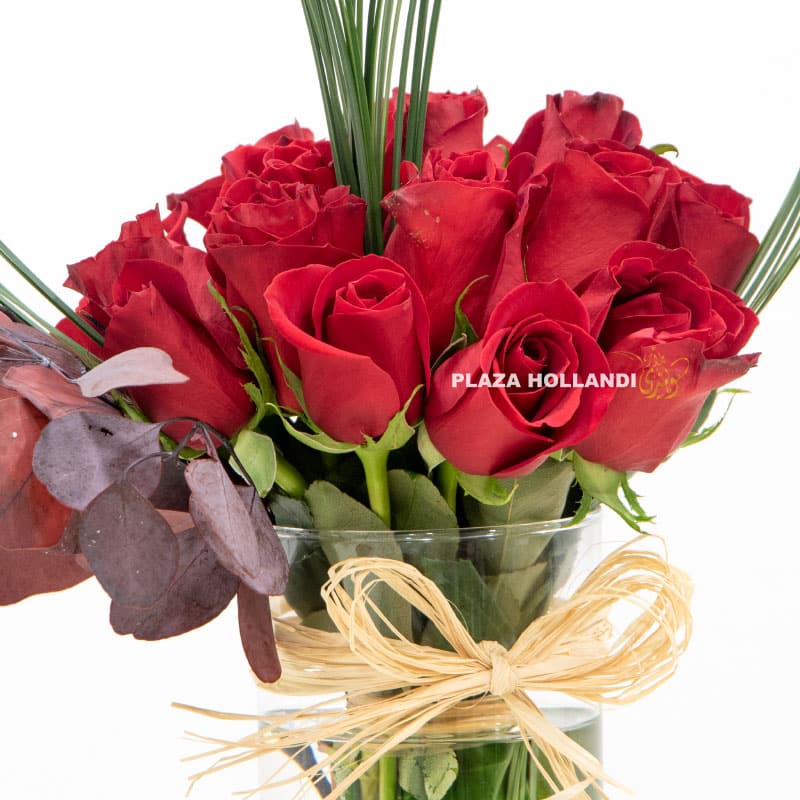 7.2 Close up of red roses