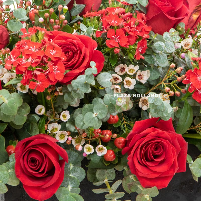 9.3 Close up of wax flower and red dianthus