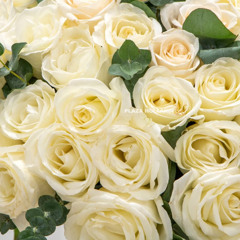 rose bouquet White roses and eucalyptus