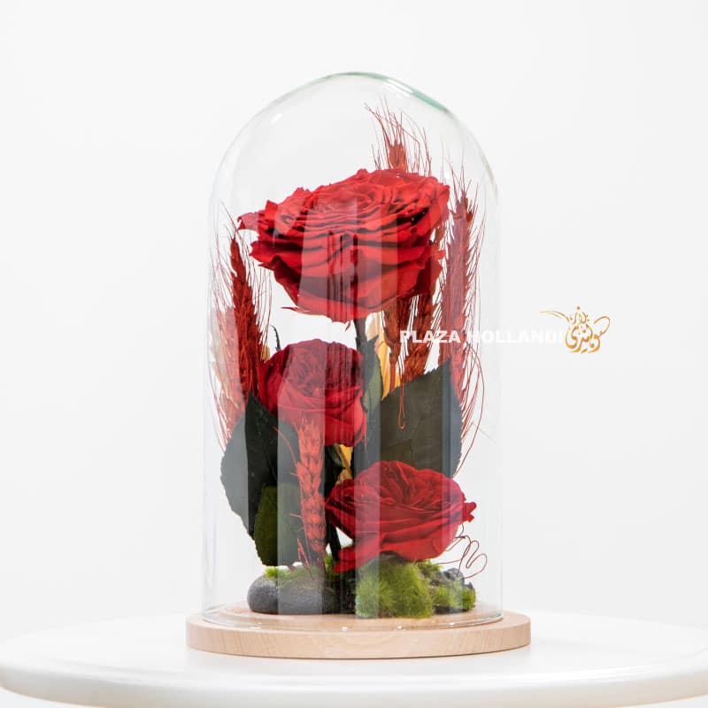 1.4 Preserved roses in a dome