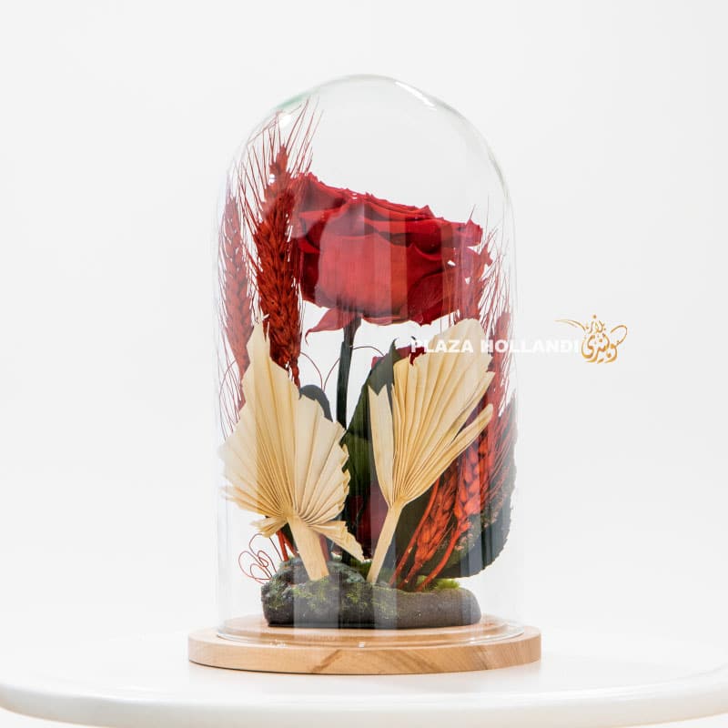 1.5 Preserved rose in glass dome