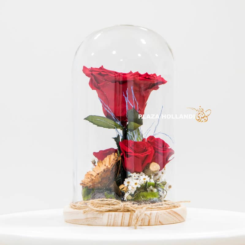 2.1 Preserved roses in a glass dome
