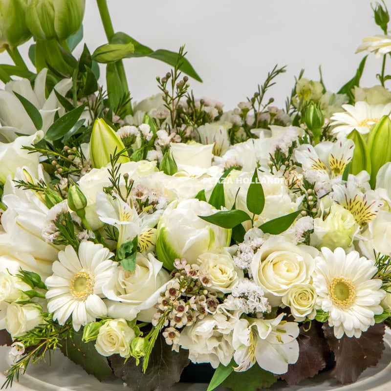 1.2 Close up of white and green flowers