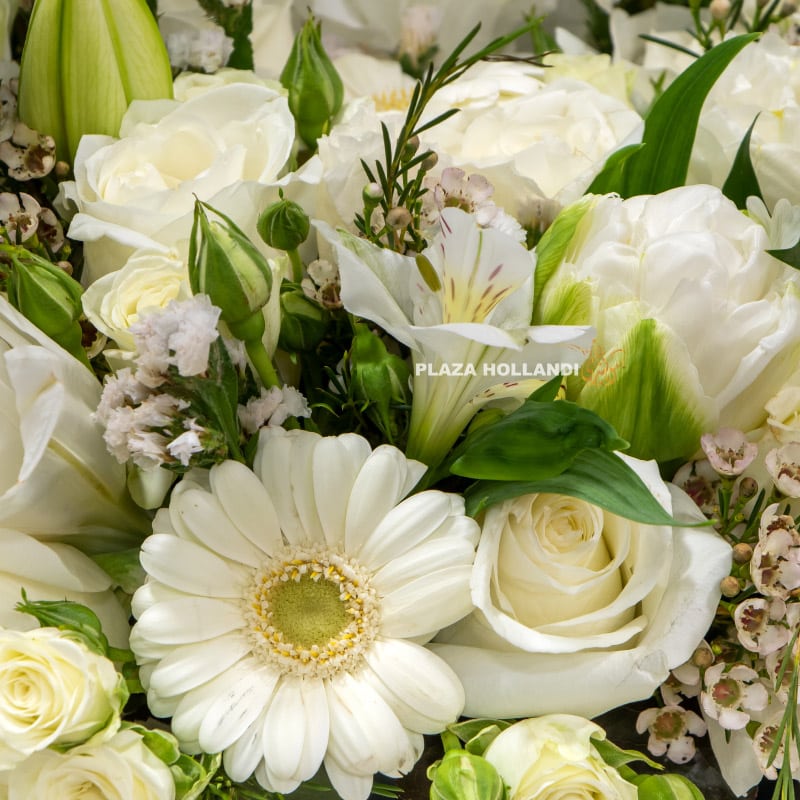 1.4 Close up of what and green arrangement