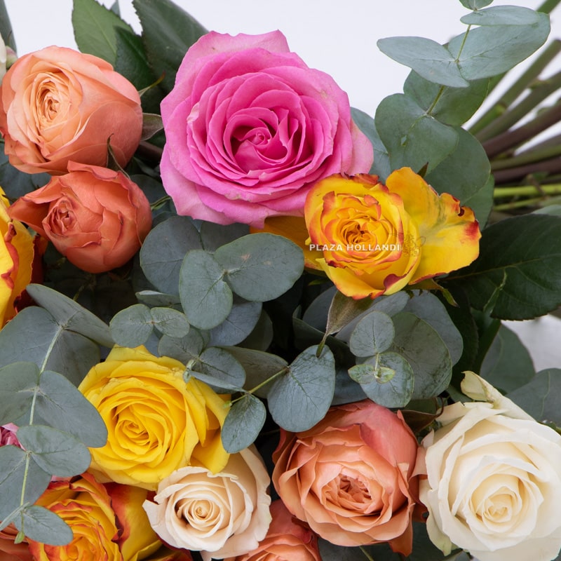 4 (3) mixed roses