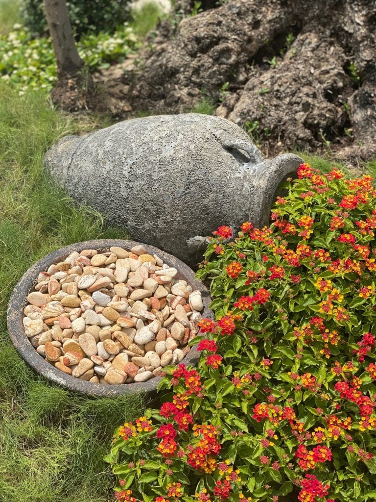 landscape planting schedule
