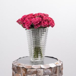 DSC07551