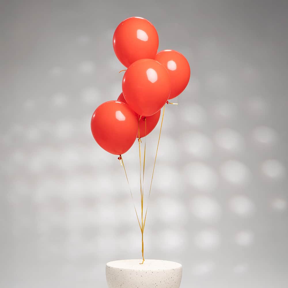 DSC08762.2.jpg DSC08762.2